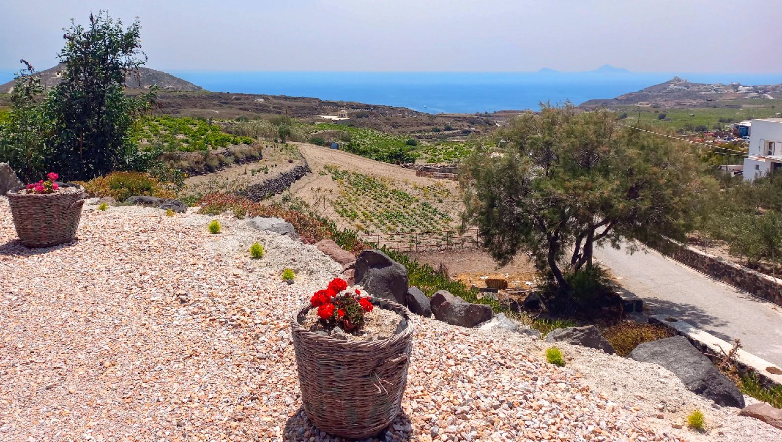 Flavors Born from Volcanic Ash in Vothonas | Greece Private Tour