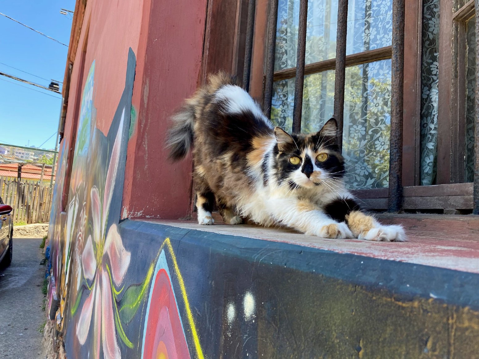 Valparaíso's Living Legacy in Valparaíso | Chile Private Tour
