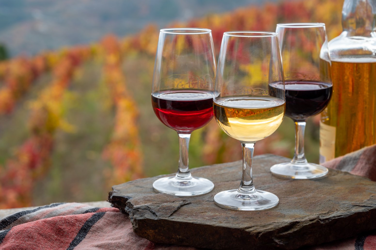 A Day Through the Douro in Pinhão | Portugal Private Tour