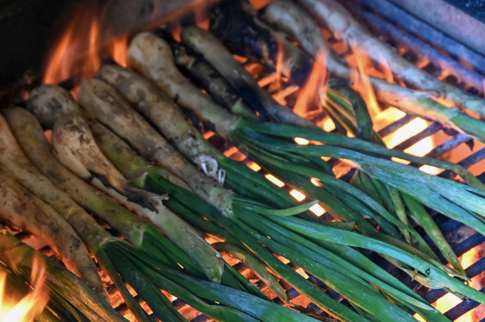 A Winter Feast in Catalonia in Santes Creus | Spain Private Tour