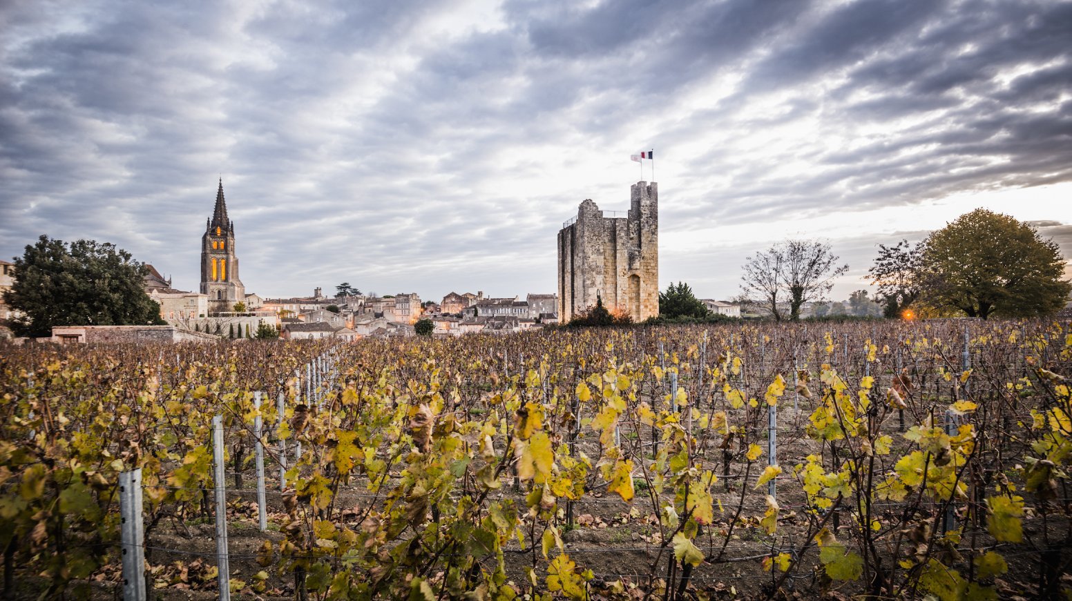 Vineways of Saint-Émilion in Saint-Émilion | France Private Tour