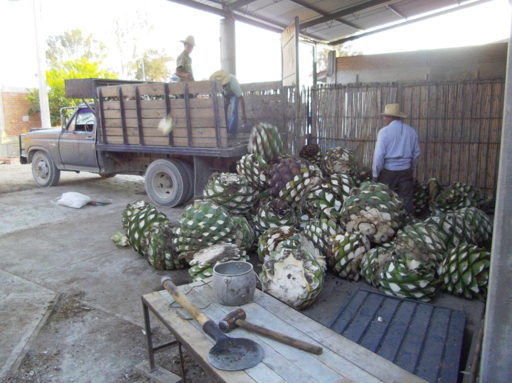 Clay Pot Distillation in Oaxaca