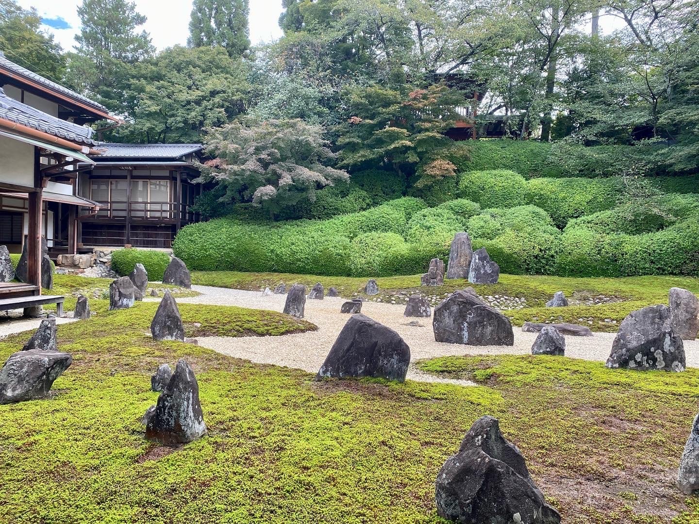 The Geometry of Zen Gardens in Kyoto | Japan Private Tour