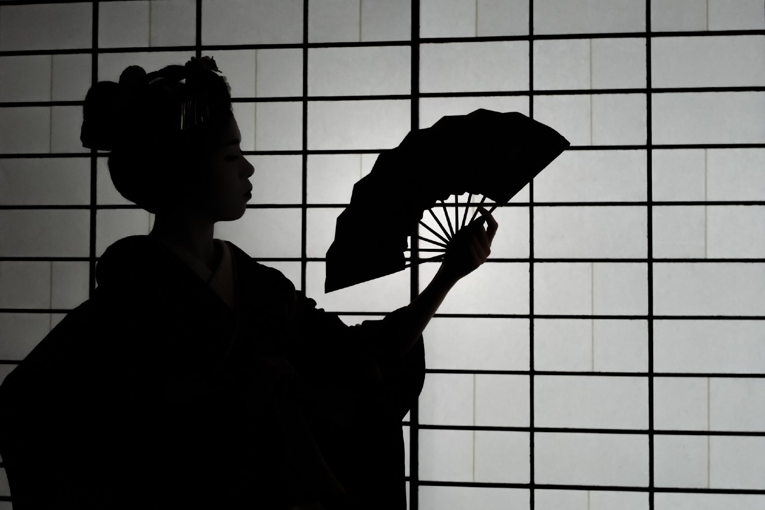 Portrait of a Maiko in Kyoto | Japan Private Tour