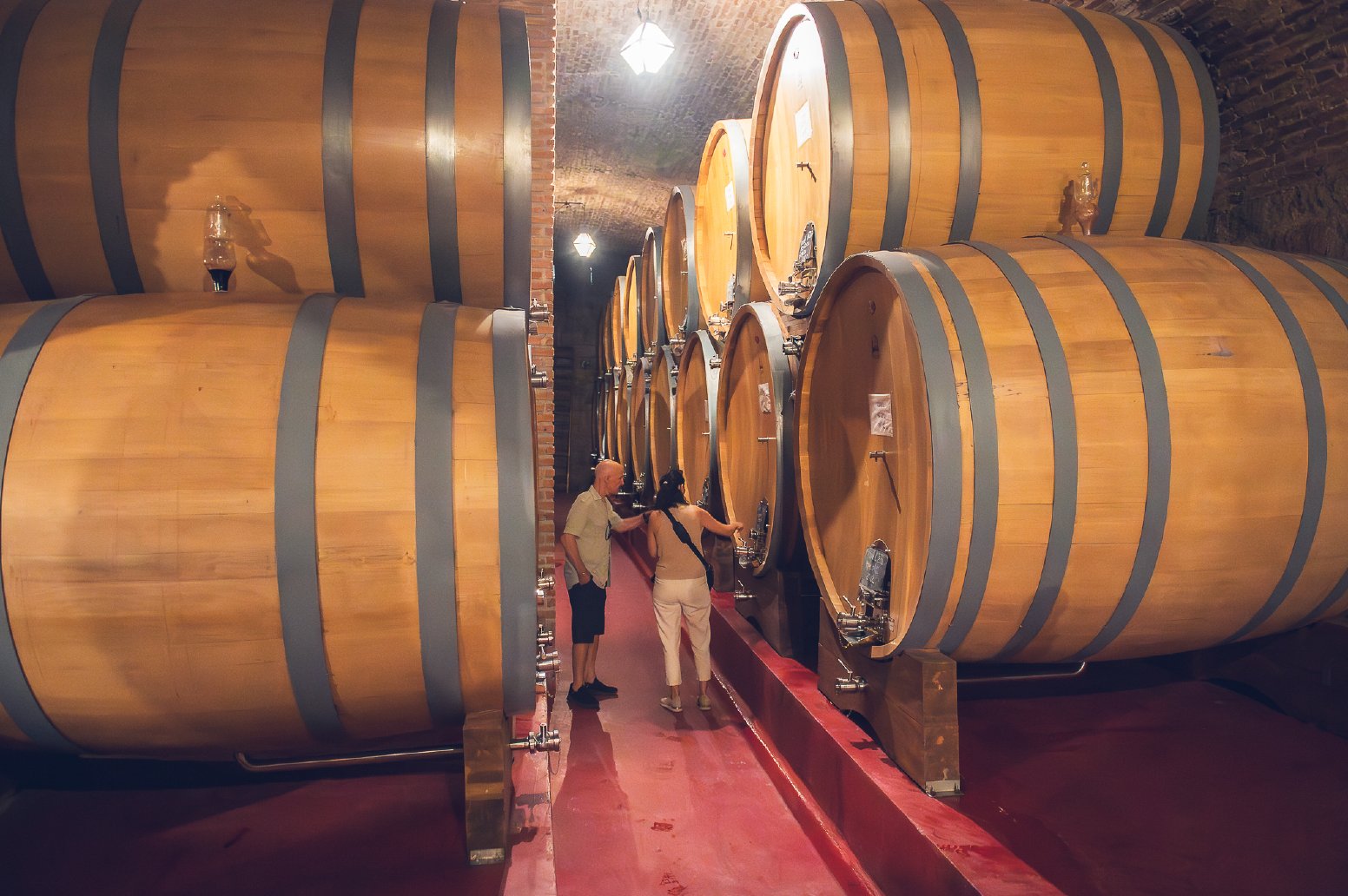 Mendoza: Uncorked & Unscripted in Mendoza | Argentina Private Tour