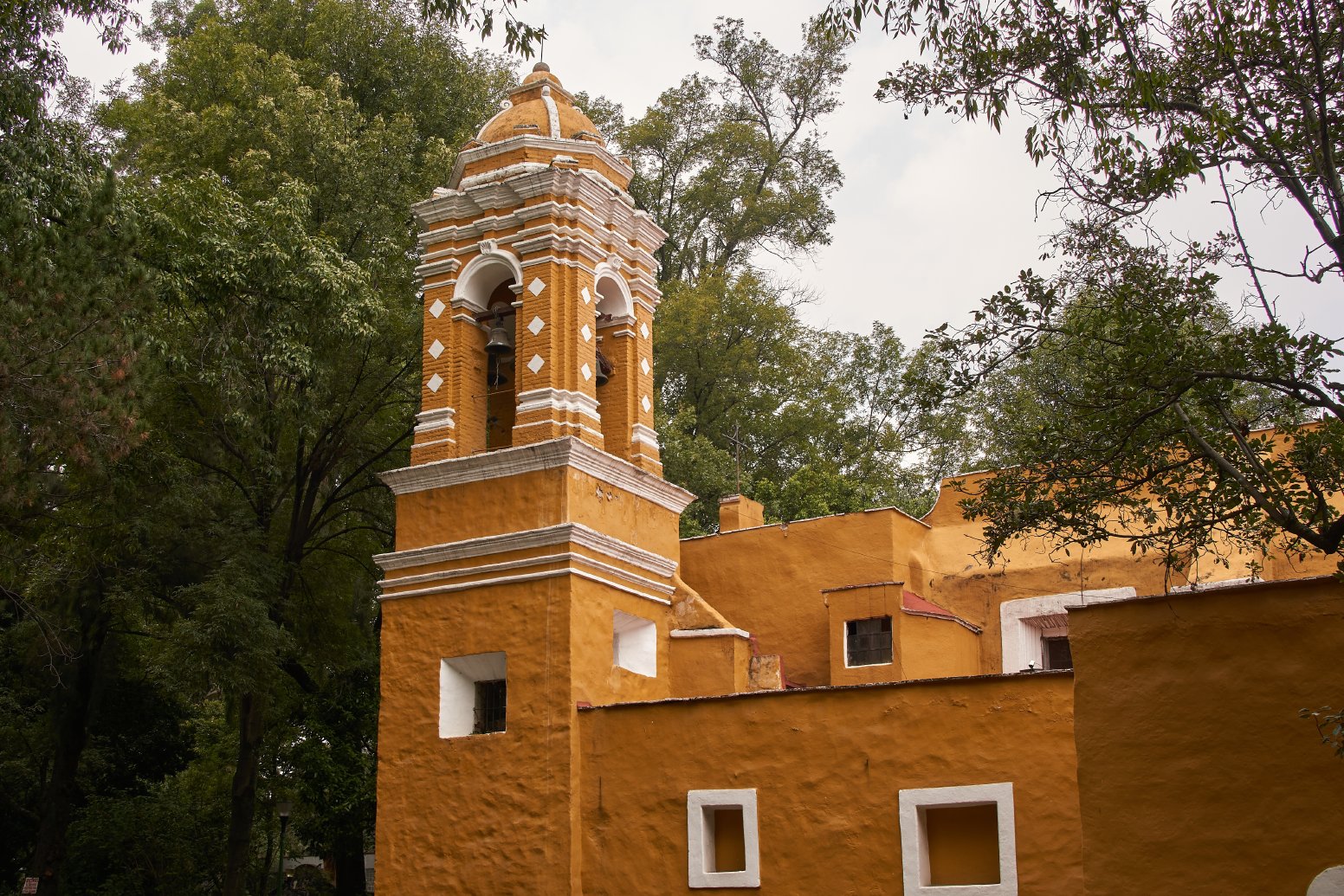 The Way Coyoacán Tastes in Mexico City | Mexico Private Tour