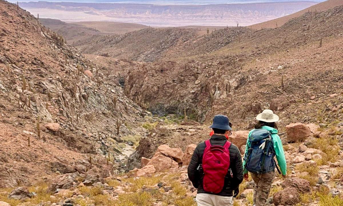 Among the Giant Cacti in San Pedro de Atacama | Chile Private Tour