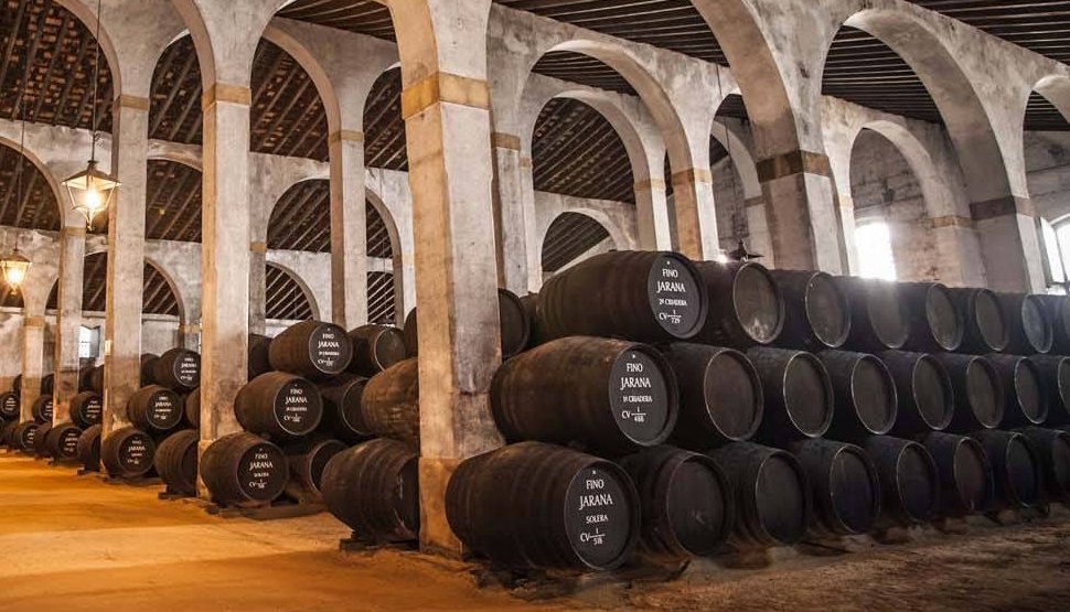 Seeking (Liquid) Gold in Jerez in Jerez de la Frontera | Spain Private Tour