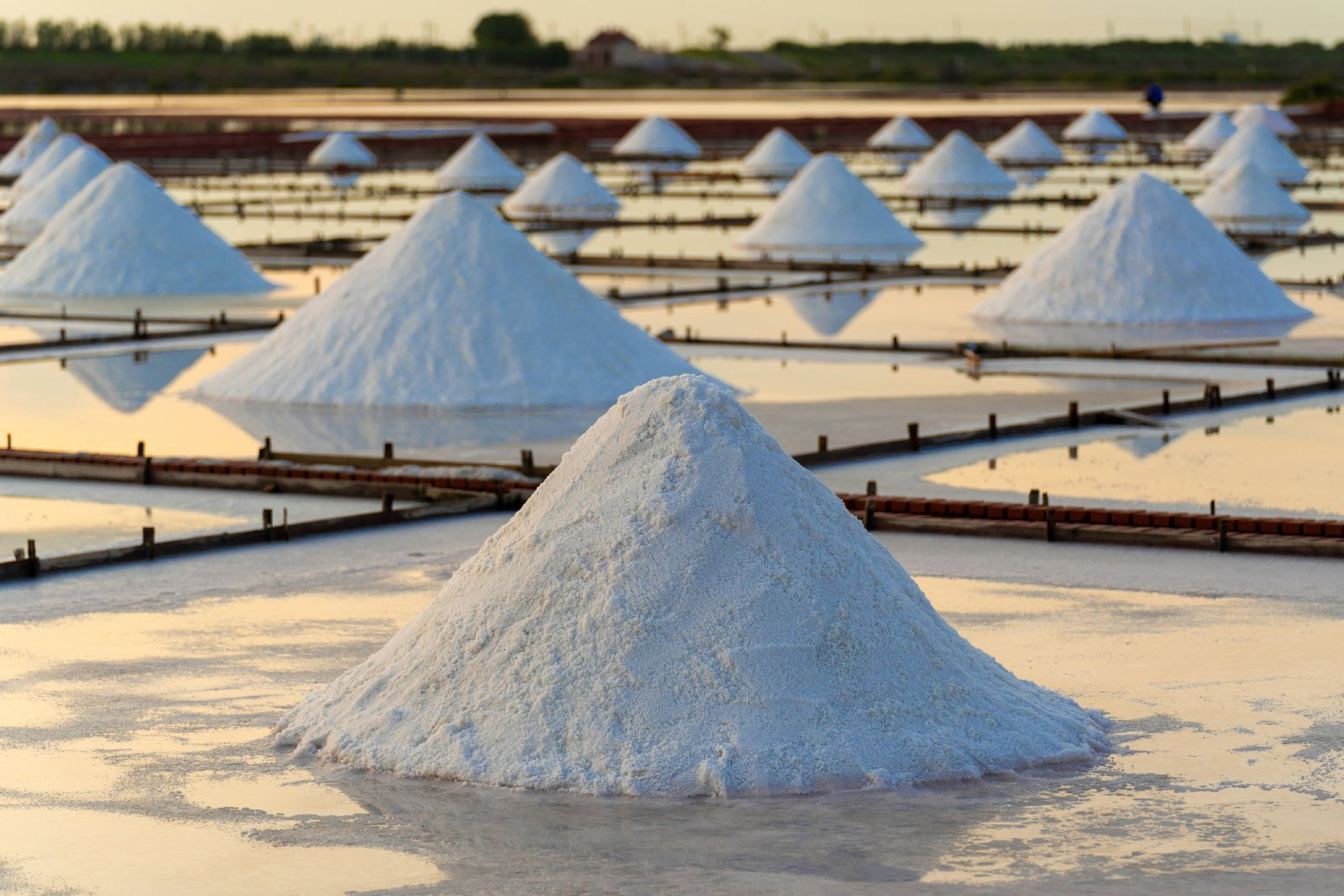 Wine, Wind, and Salt in Marsala | Italy Private Tour