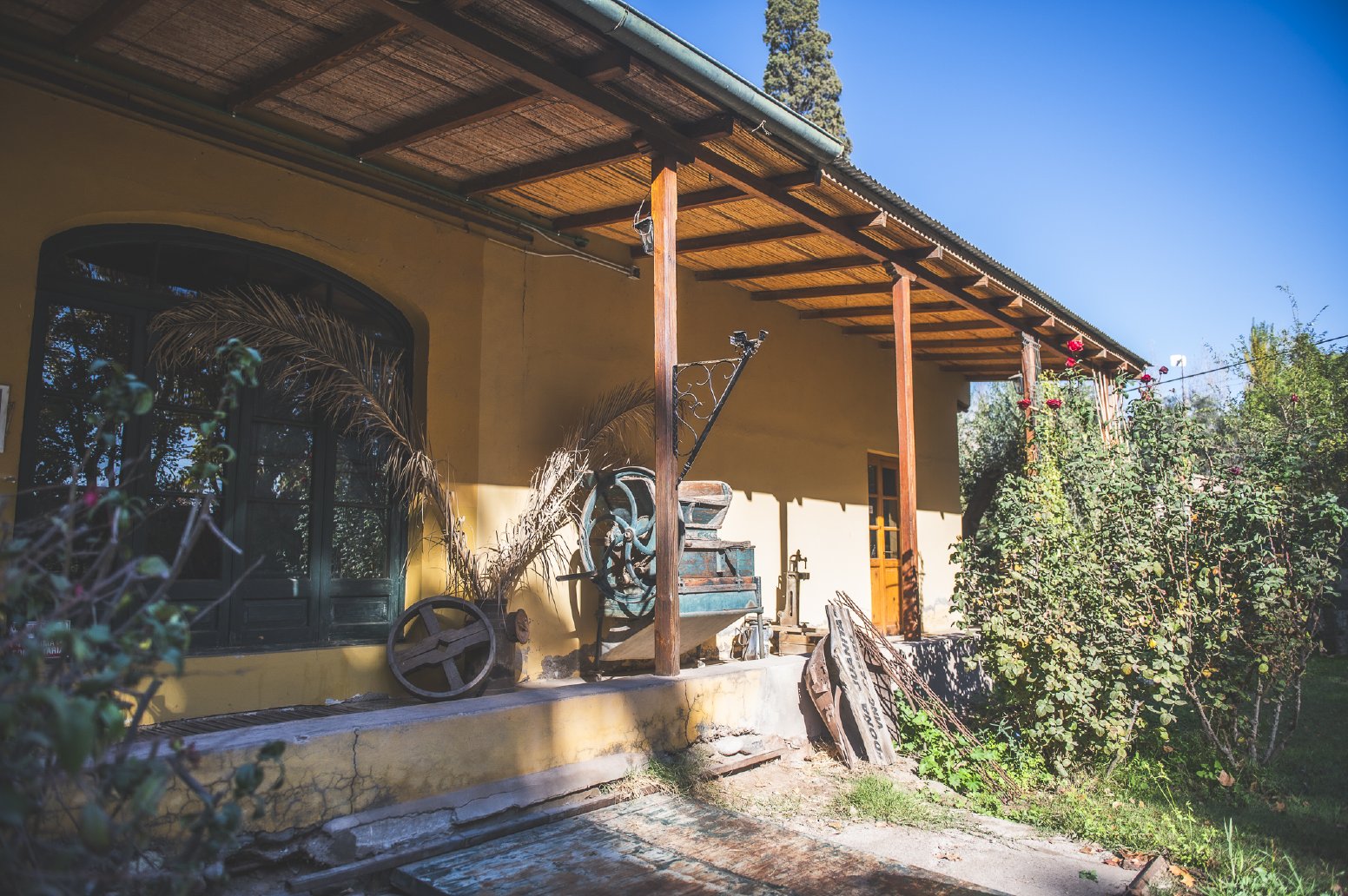 Bees, Barrels & Lunlunta in Mendoza | Argentina Private Tour
