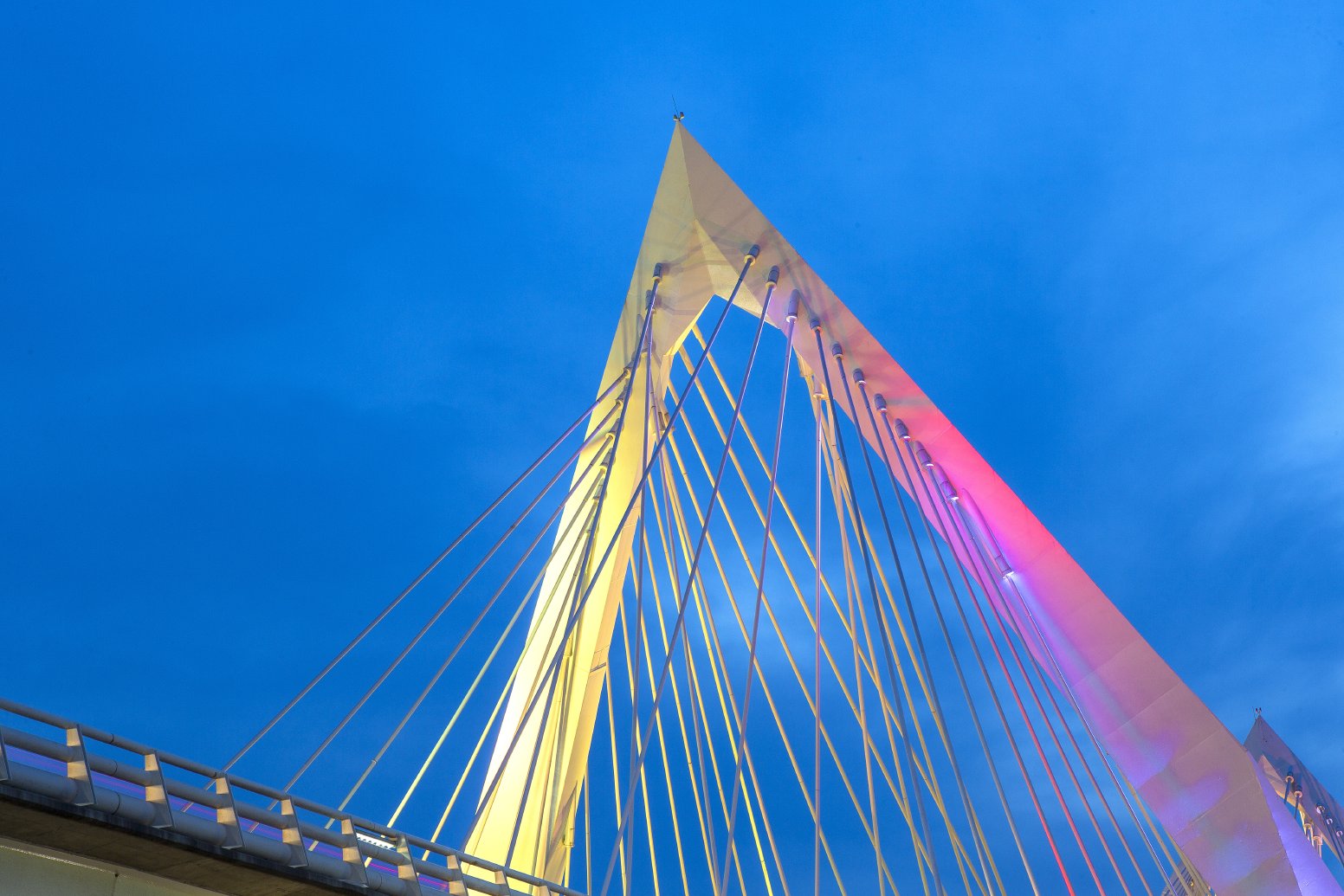 Lights, Sound, Guadalajara in Guadalajara | Mexico Private Tour