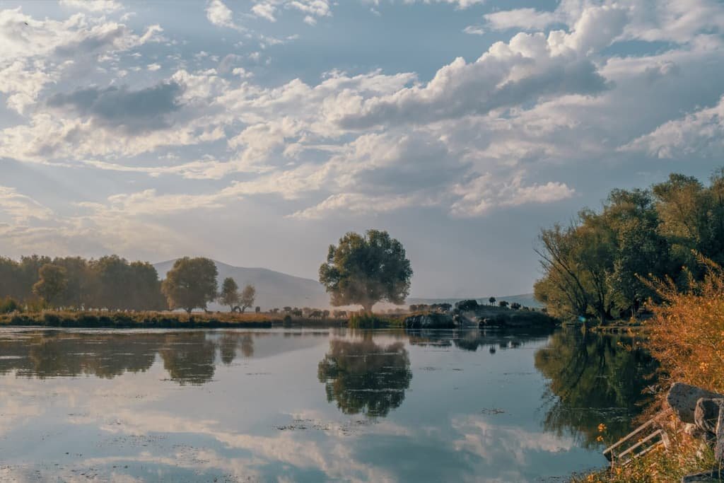Following the Buffalo Herd  in Hürmetci | Türkiye Private Tour