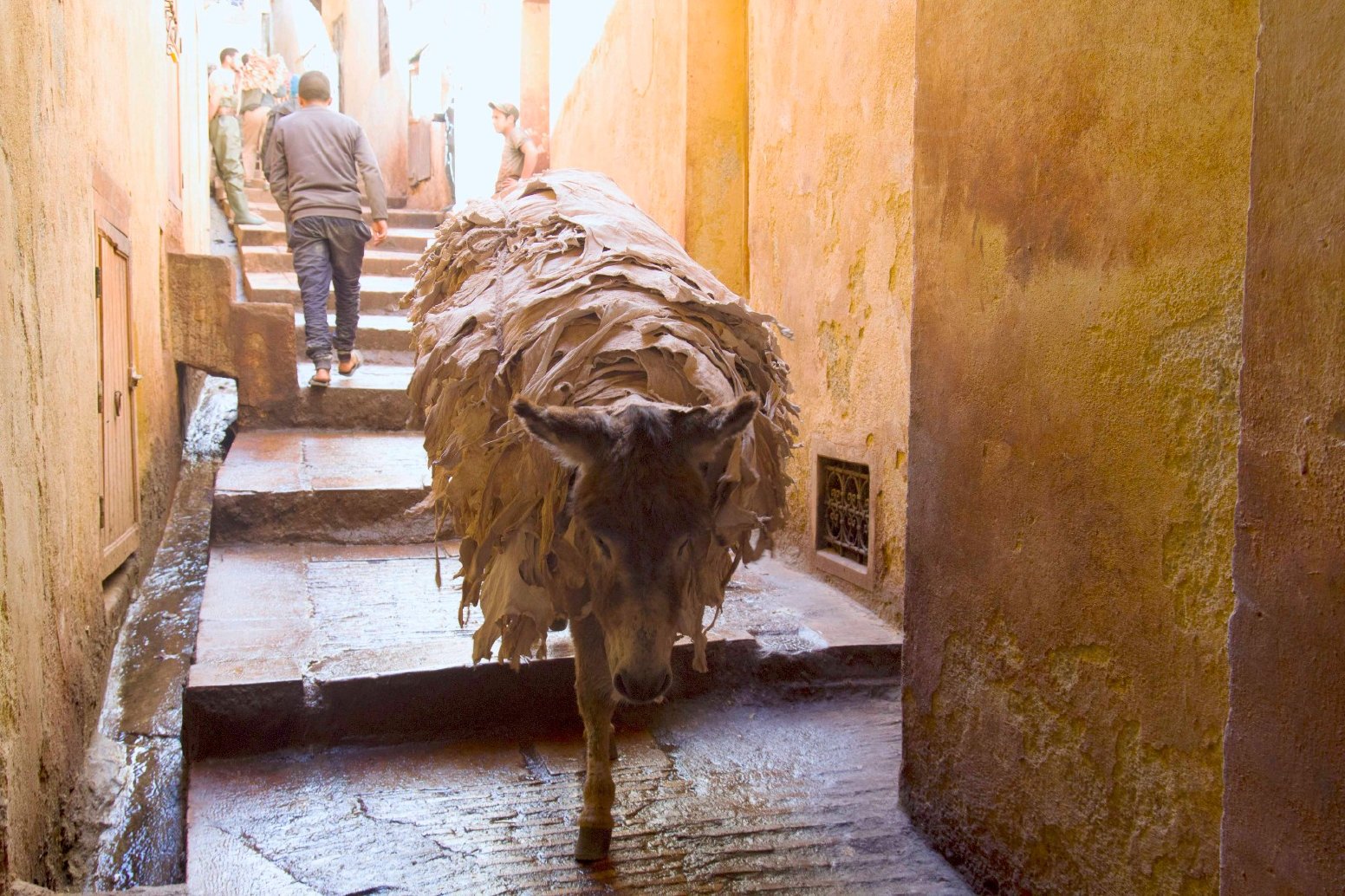 Timeless Medina: A Photo Walk  in Fes | Morocco Private Tour