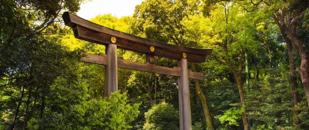 Tokyo, Cut to Scene in Suginami City | Japan Private Tour