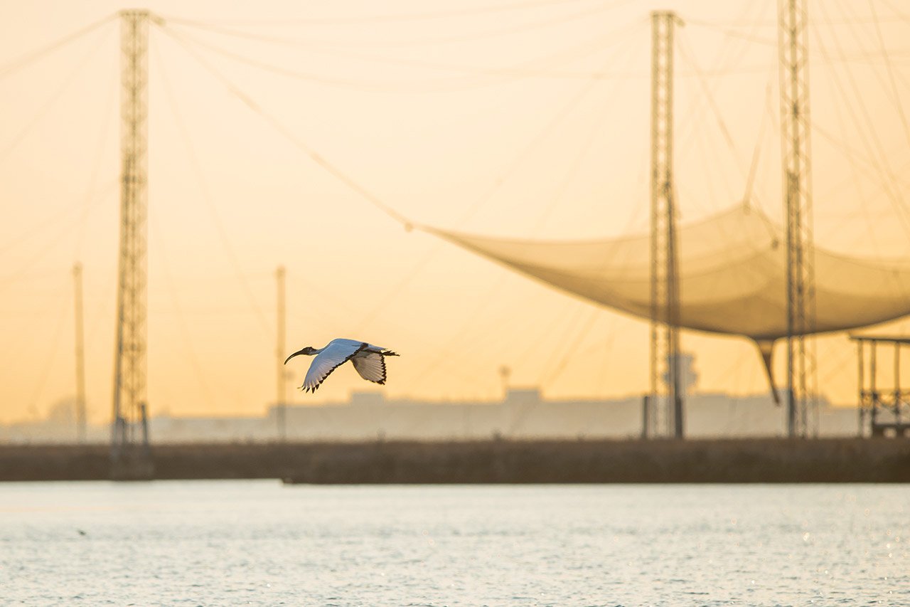 Preserving Wild & Peace. in Venice | Italy Private Tour