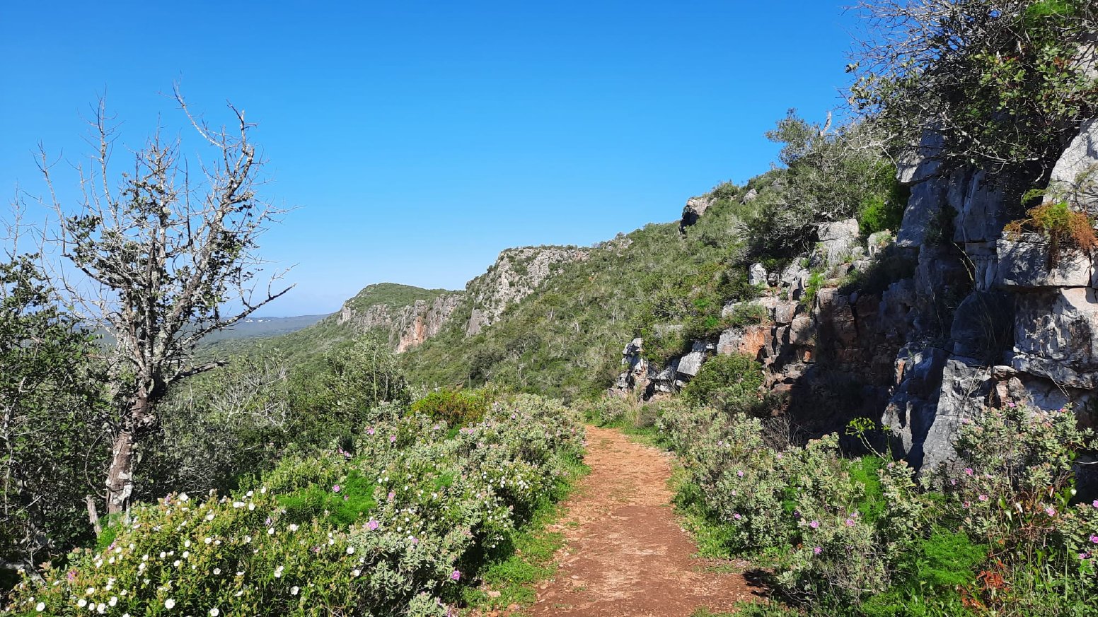 Bee Trails of the Algarve in Benafim | Portugal Shared Tour