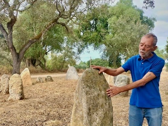 Ancient Roots, Living Soil in Montemor-o-Novo | Portugal Private Tour