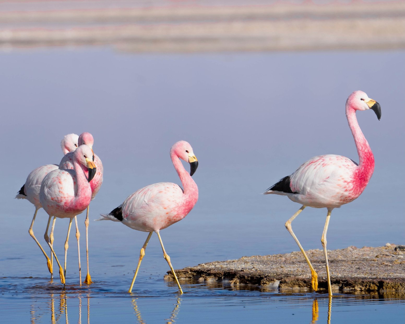 Eyes of the Desert in San Pedro de Atacama | Chile Private Tour