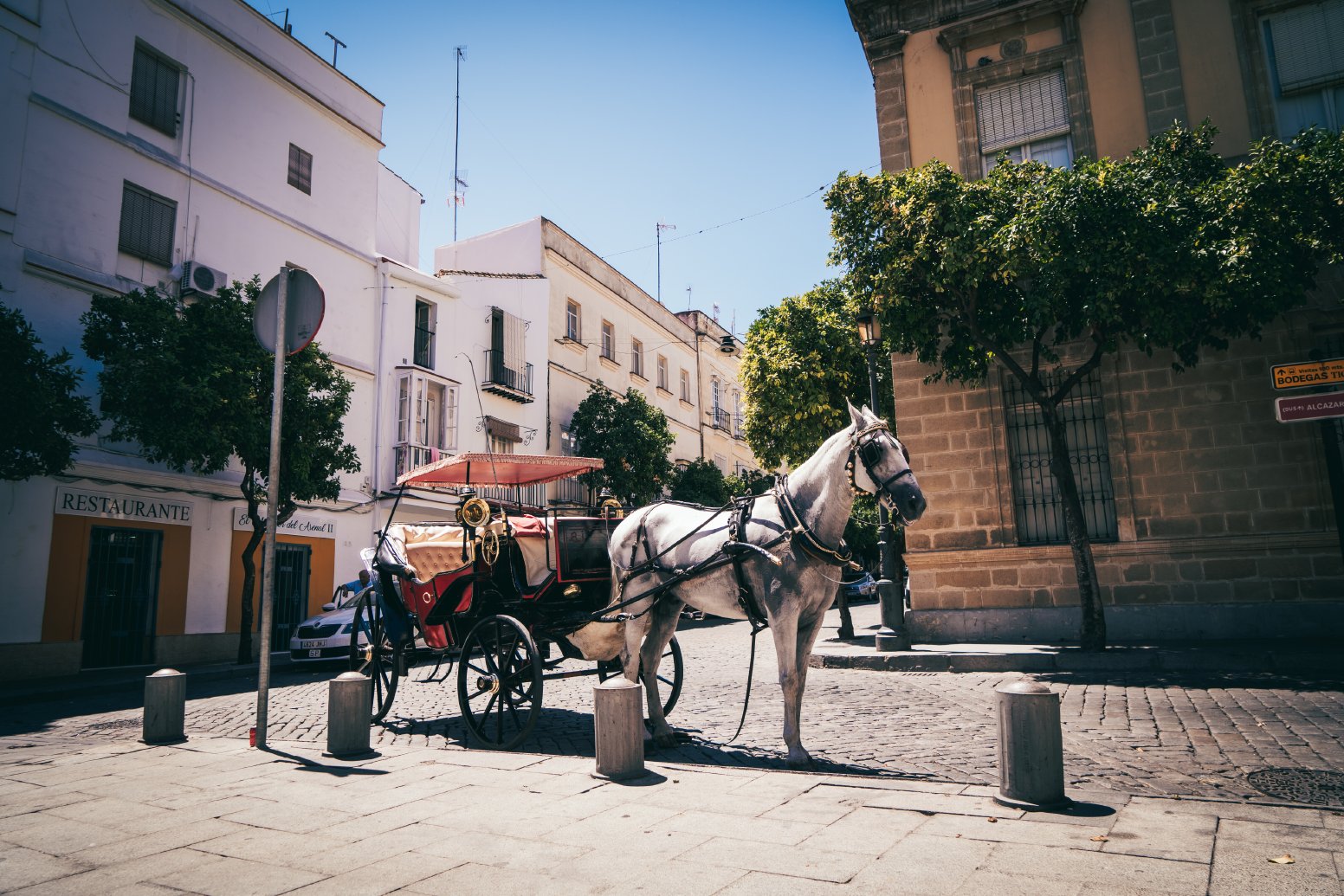 Private Horse Carriage Ride in Jerez de la Frontera