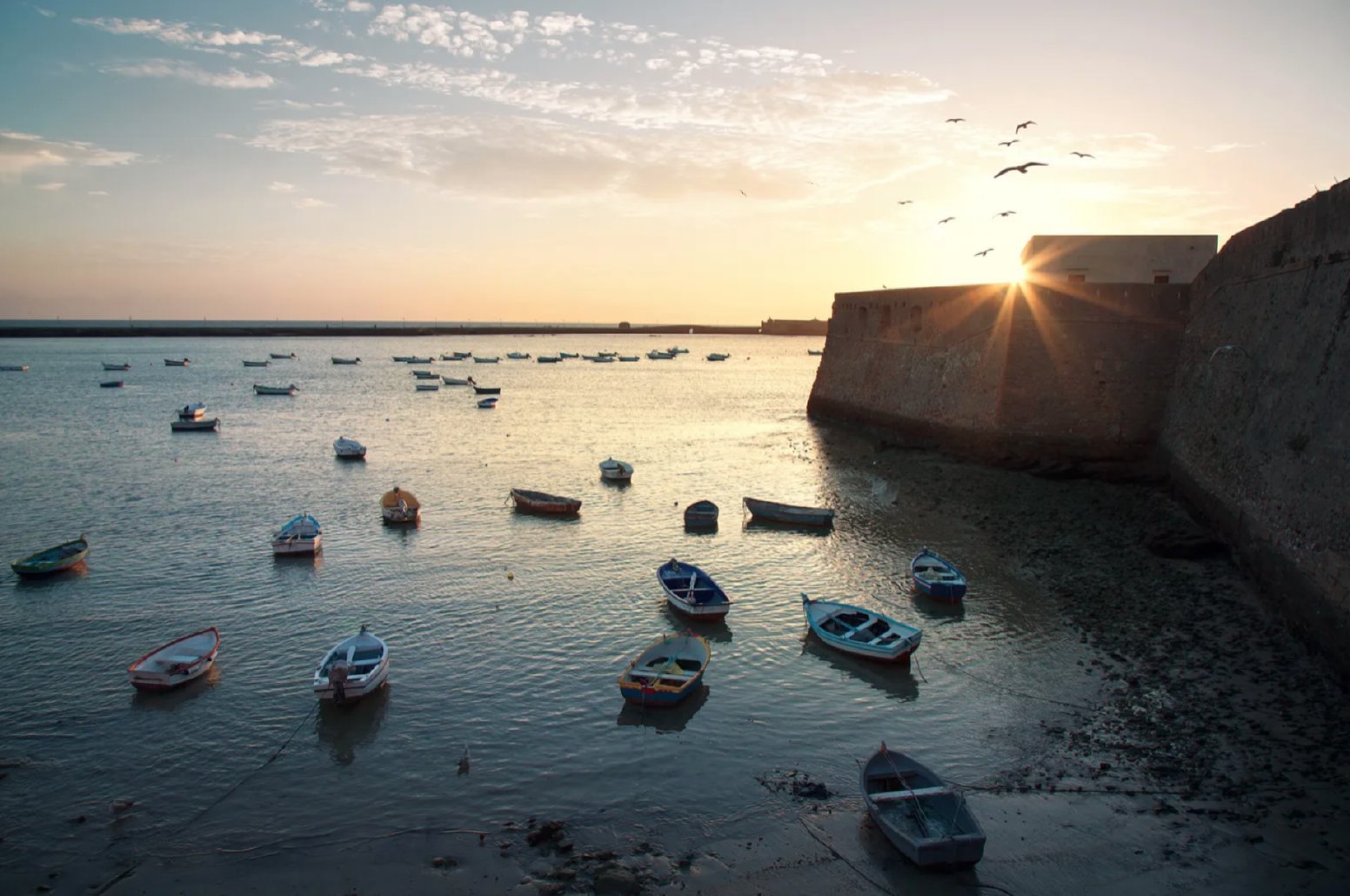 Becoming Gaditano: Culture, Art, and Sea Breeze in Mesas del Corral | Spain Private Tour