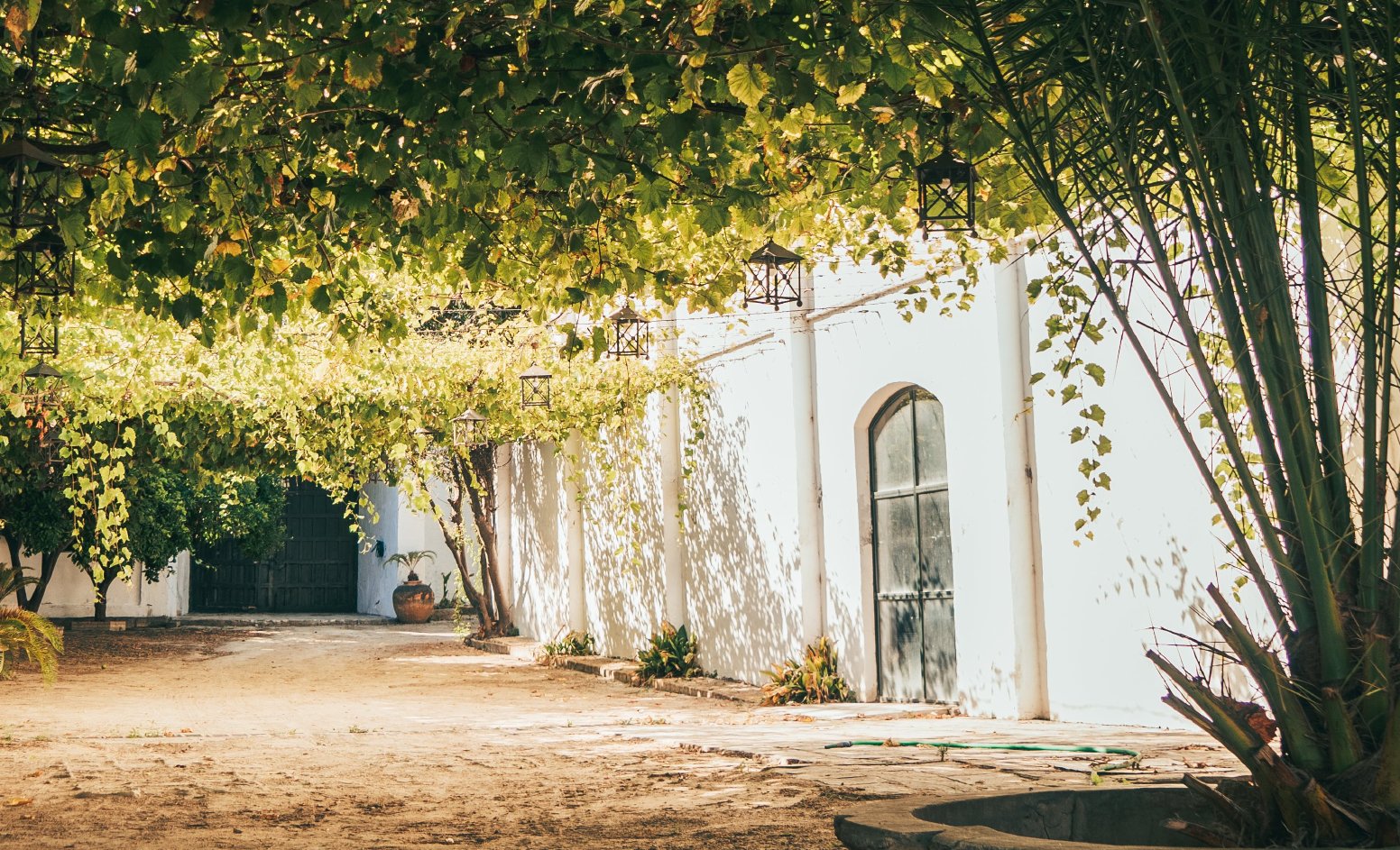 Untold Cádiz: Sherry, Legacy, Doñana in Mesas del Corral | Spain Private Tour
