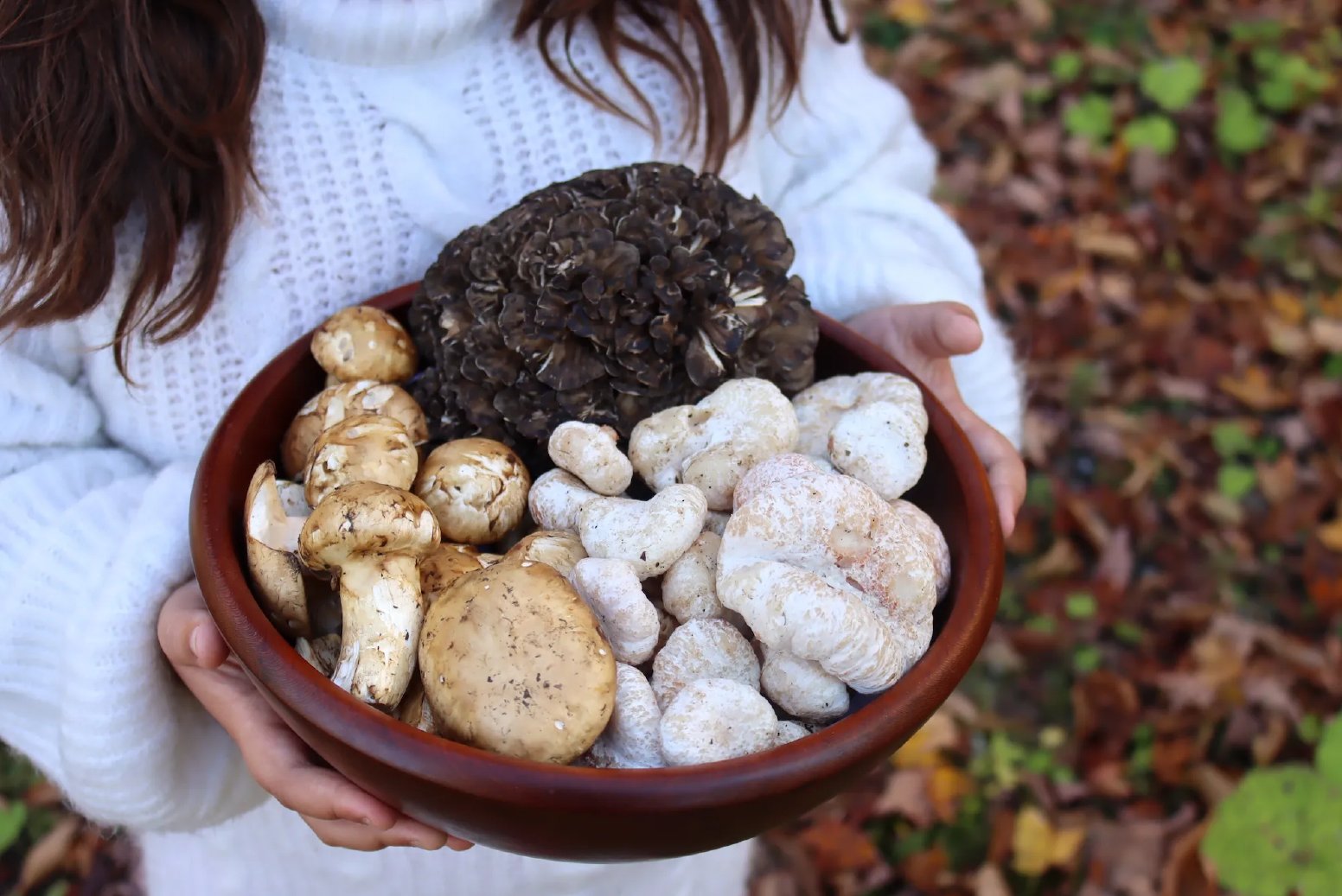 Truffle Foraging in Evia in Kato Steni | Greece Private Tour