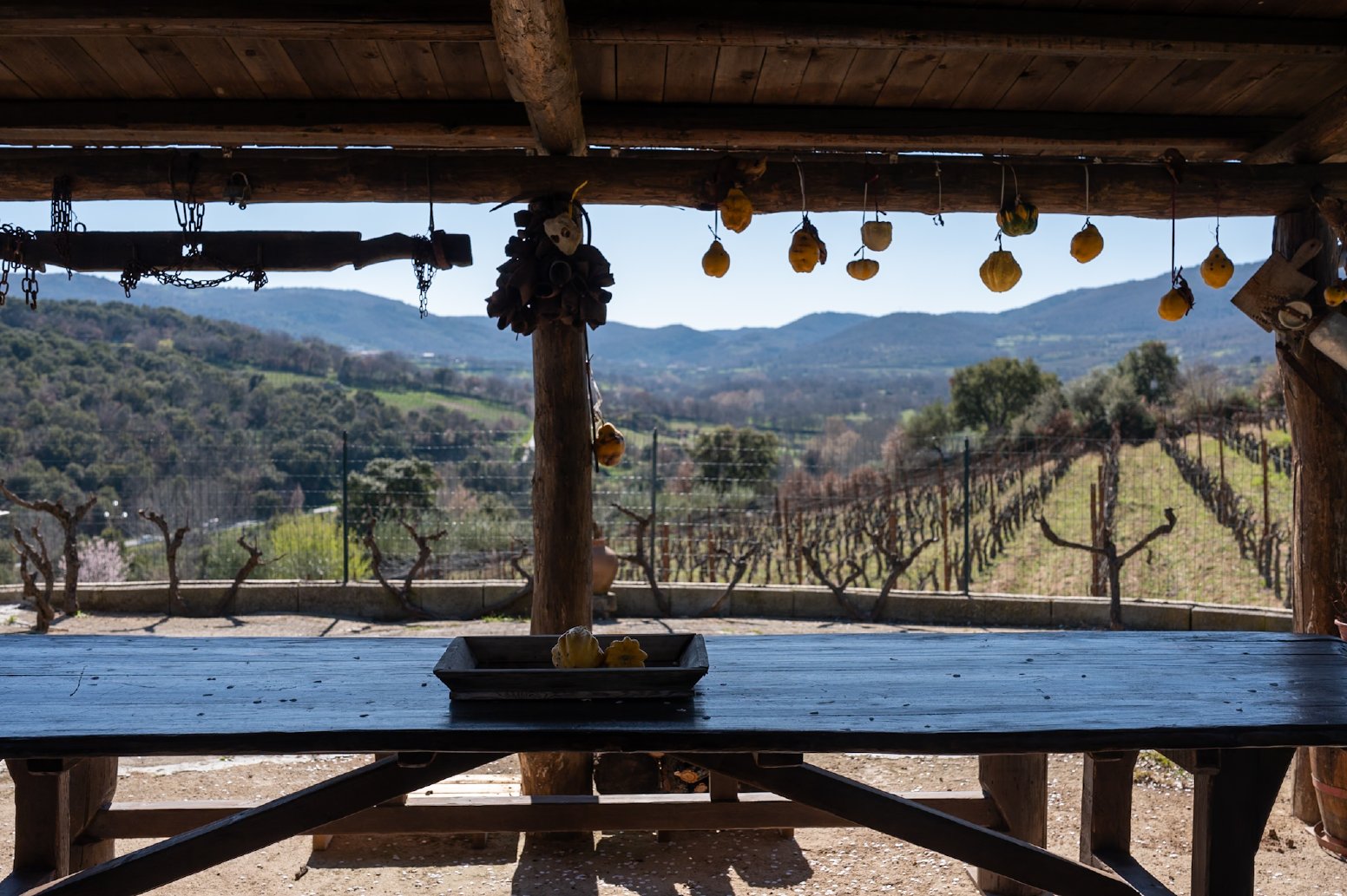 The Nuraghe Among the Vines in Mamoiada | Italy Private Tour