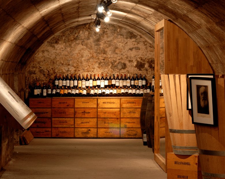 The Port of the Moon in Bordeaux | France Private Tour