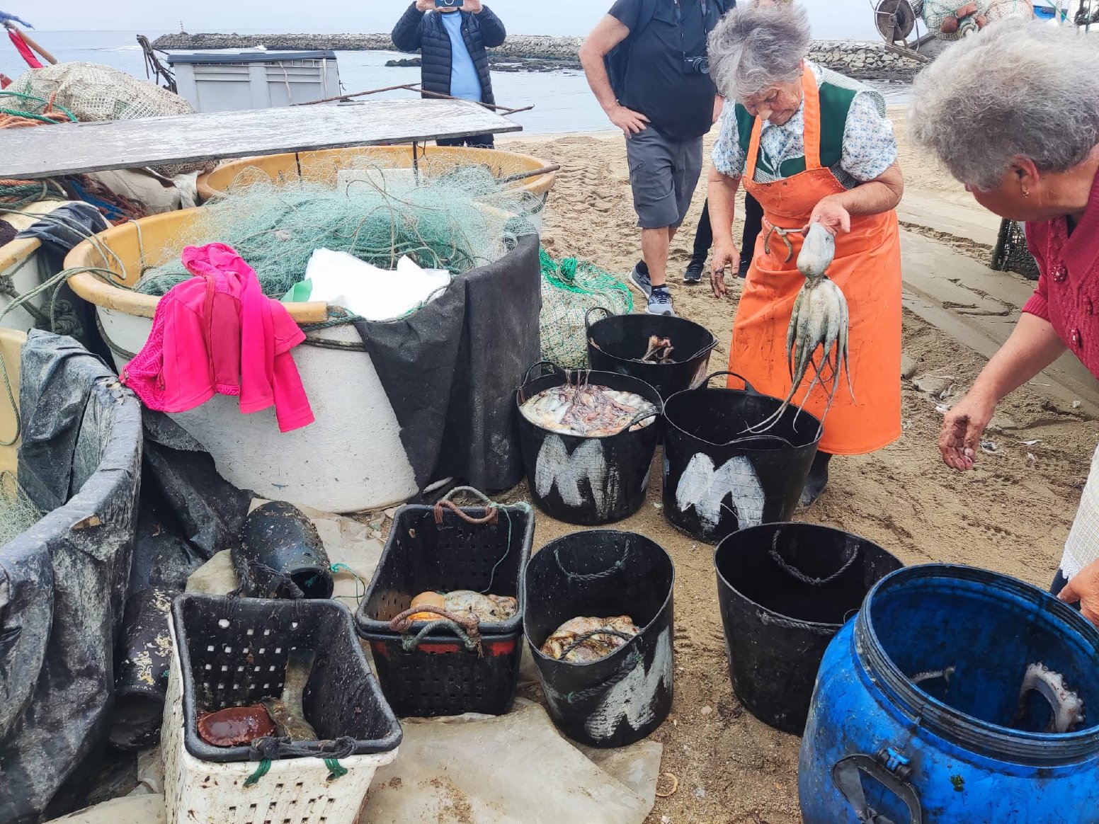 Fish: A Portuguese Love Affair in Matosinhos | Portugal Private Tour