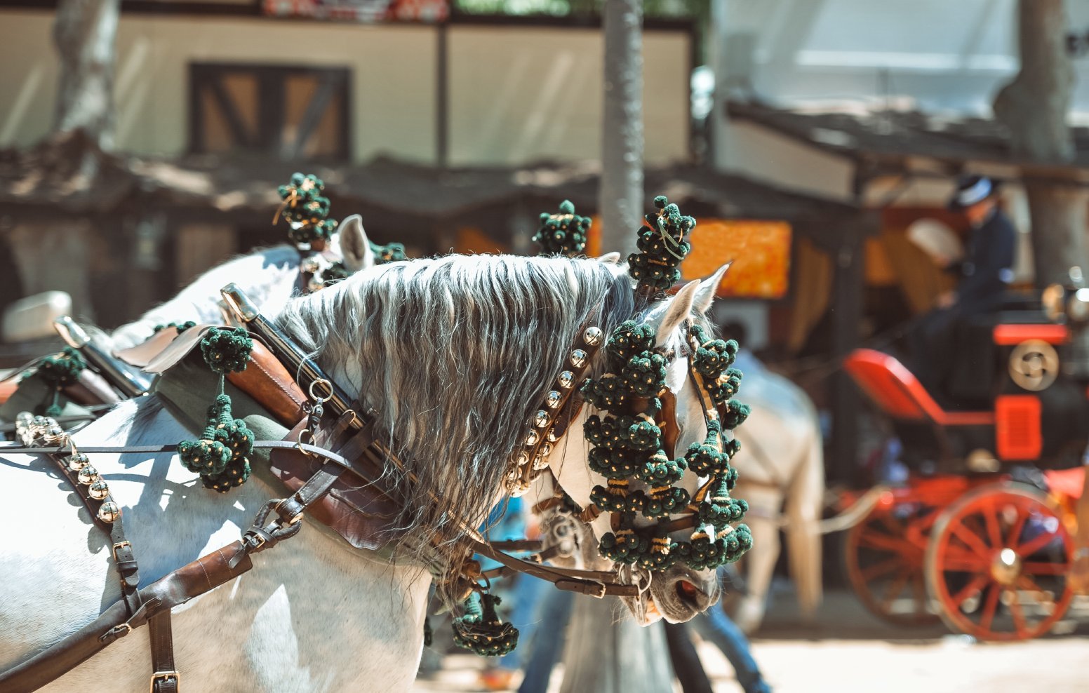 The Heart of Feria del Caballo in Jerez de la Frontera | Spain Private Tour