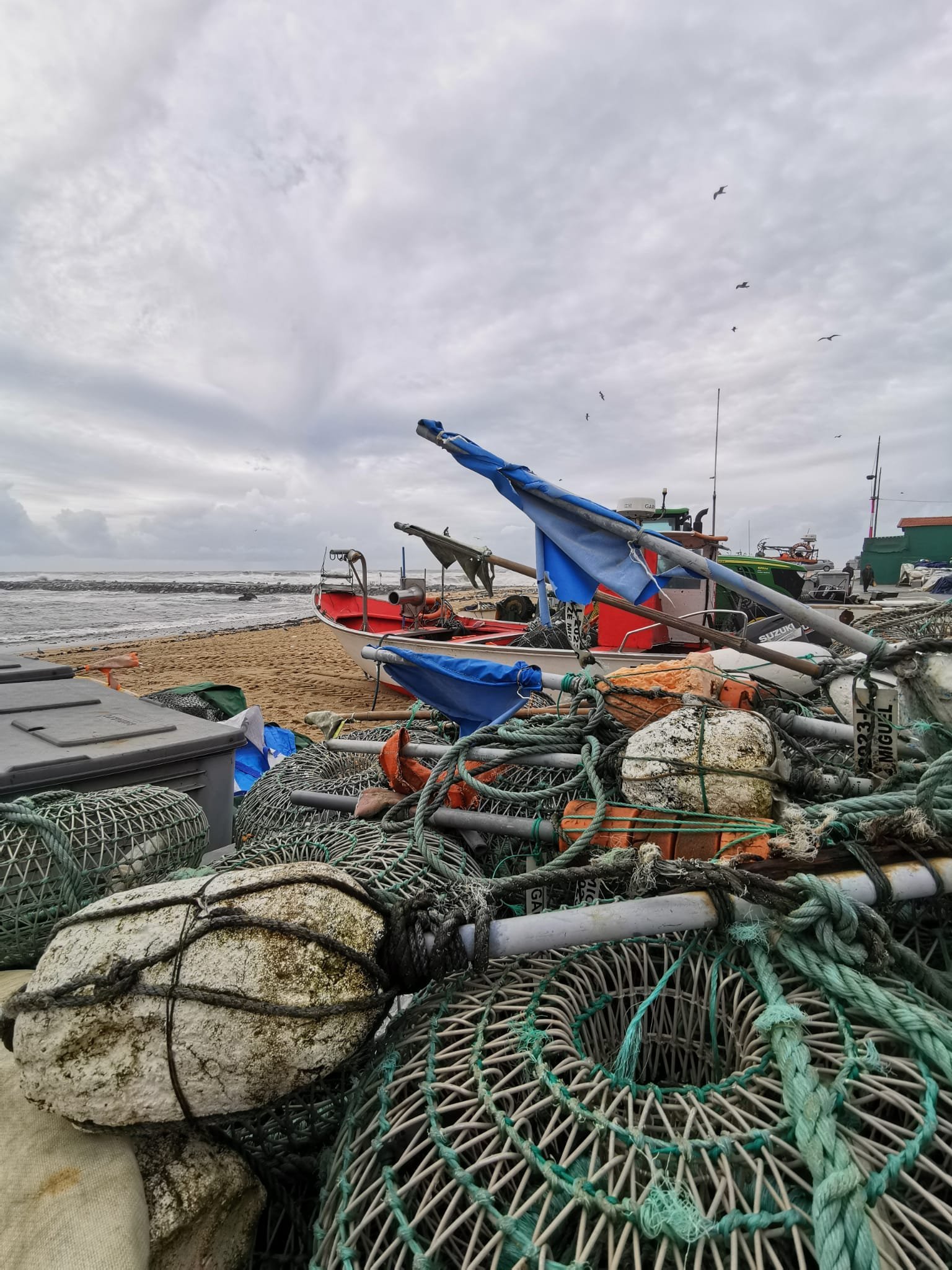Fish: A Portuguese Love Affair in Matosinhos | Portugal Private Tour