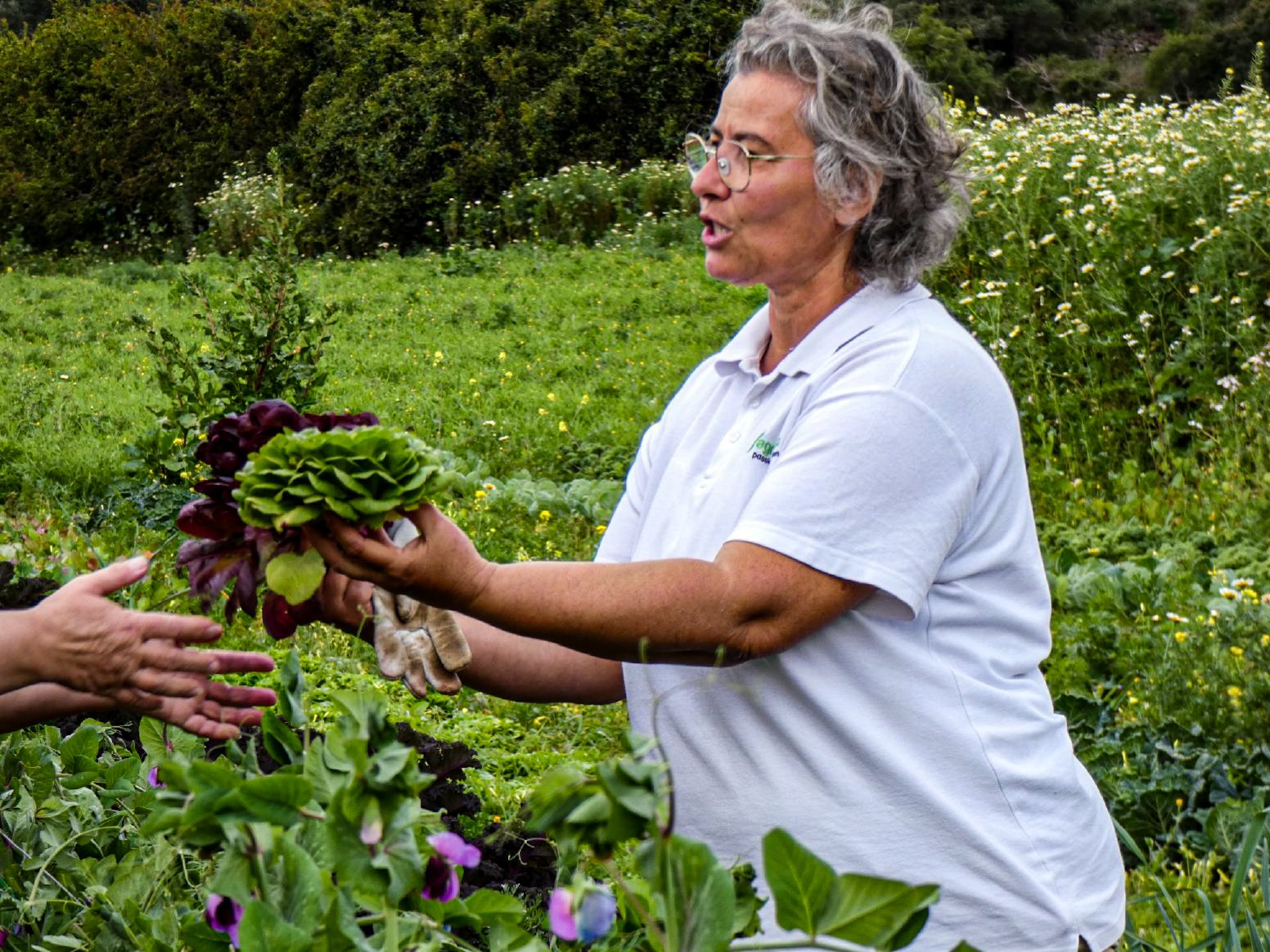 Loulé’s Dryland Farm Trails in Loulé | Portugal Shared Tour