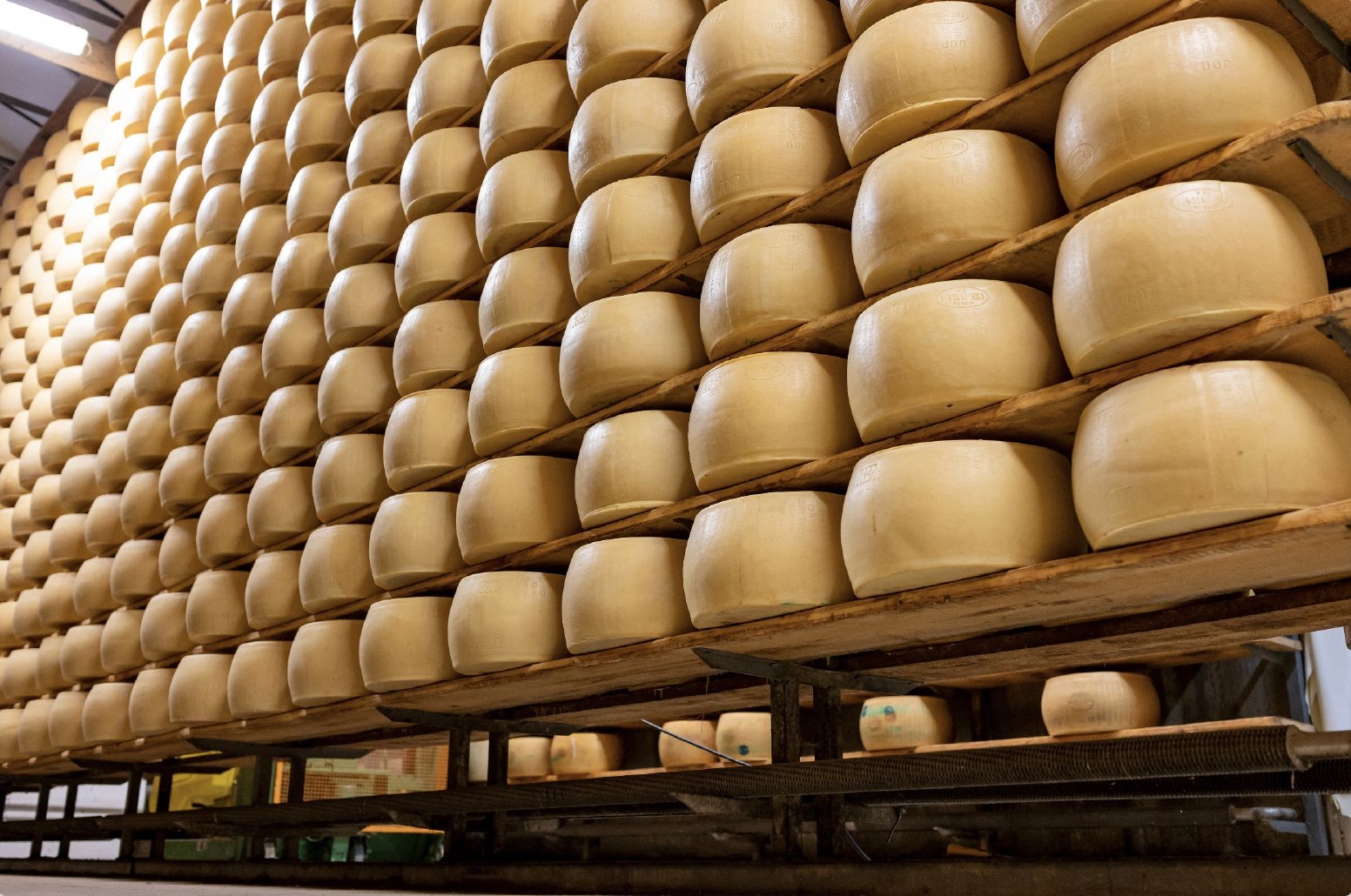 Parmigiano-Reggiano Tasting in Parma | Italy - Travel Story