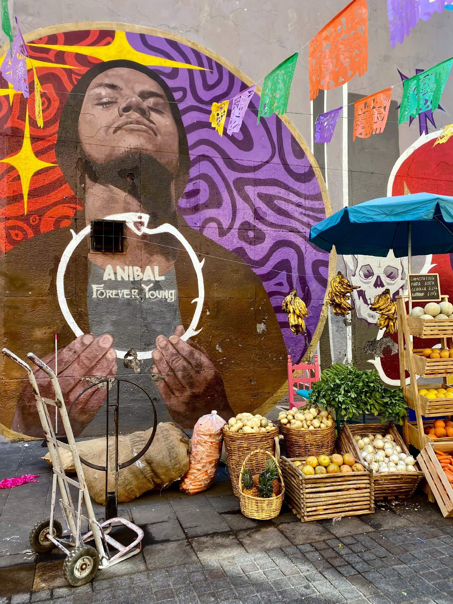 CDMX's Street Art Scene in Mexico City | Mexico Private Tour