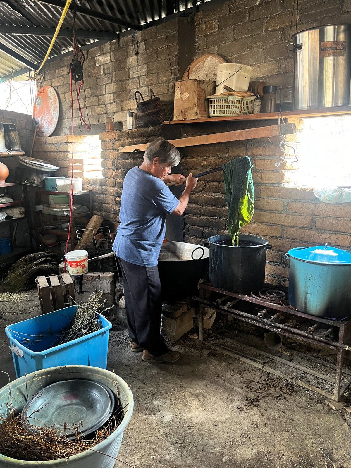 The Art of Oaxacan Silk in Teotitlán del Valle | Mexico Private Tour