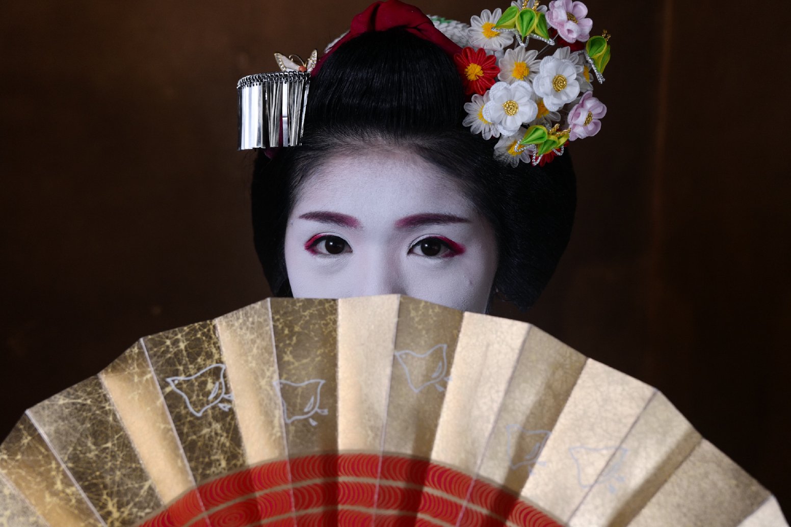 Portrait of a Maiko in Kyoto | Japan Private Tour