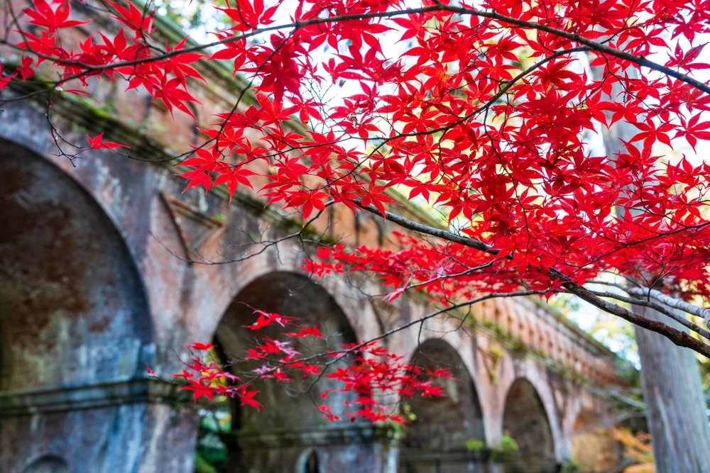 How To Read Kyoto in Kyoto | Japan Private Tour