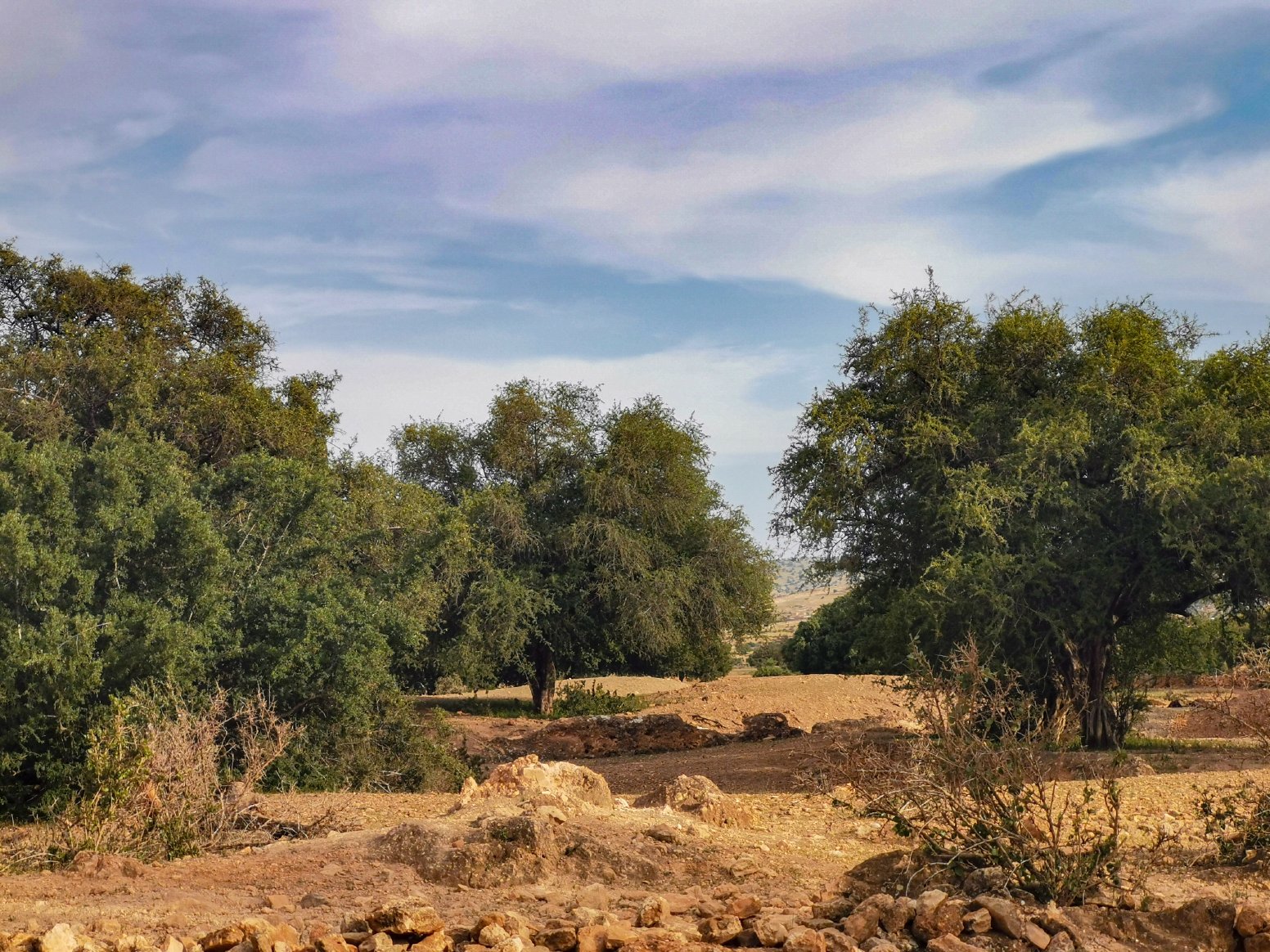 The Argan and Sugar Legacy in Essaouira | Morocco Private Tour