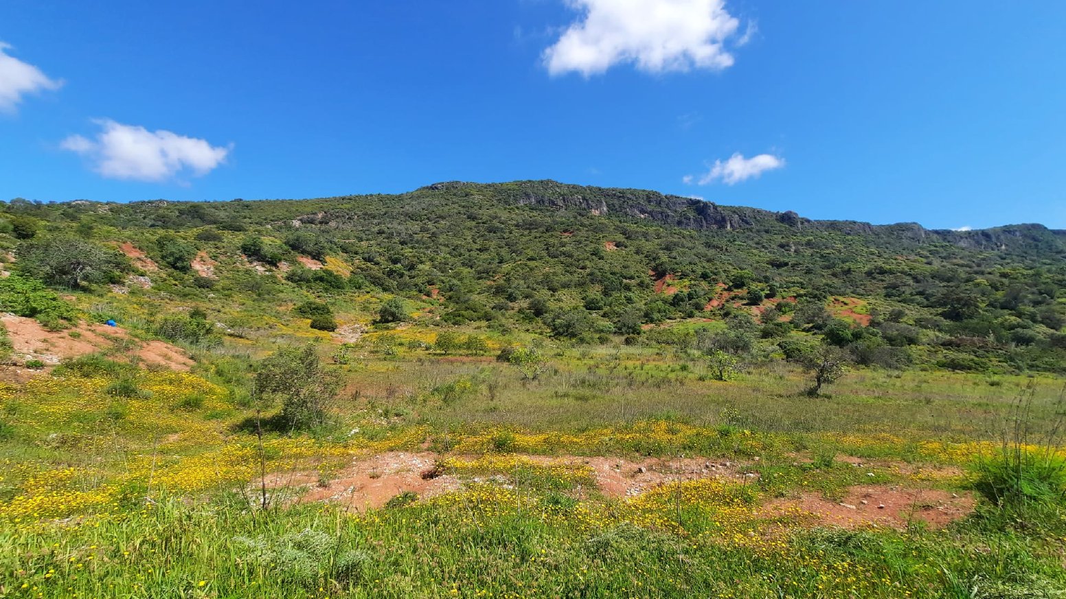 Bee Trails of the Algarve in Benafim | Portugal Shared Tour