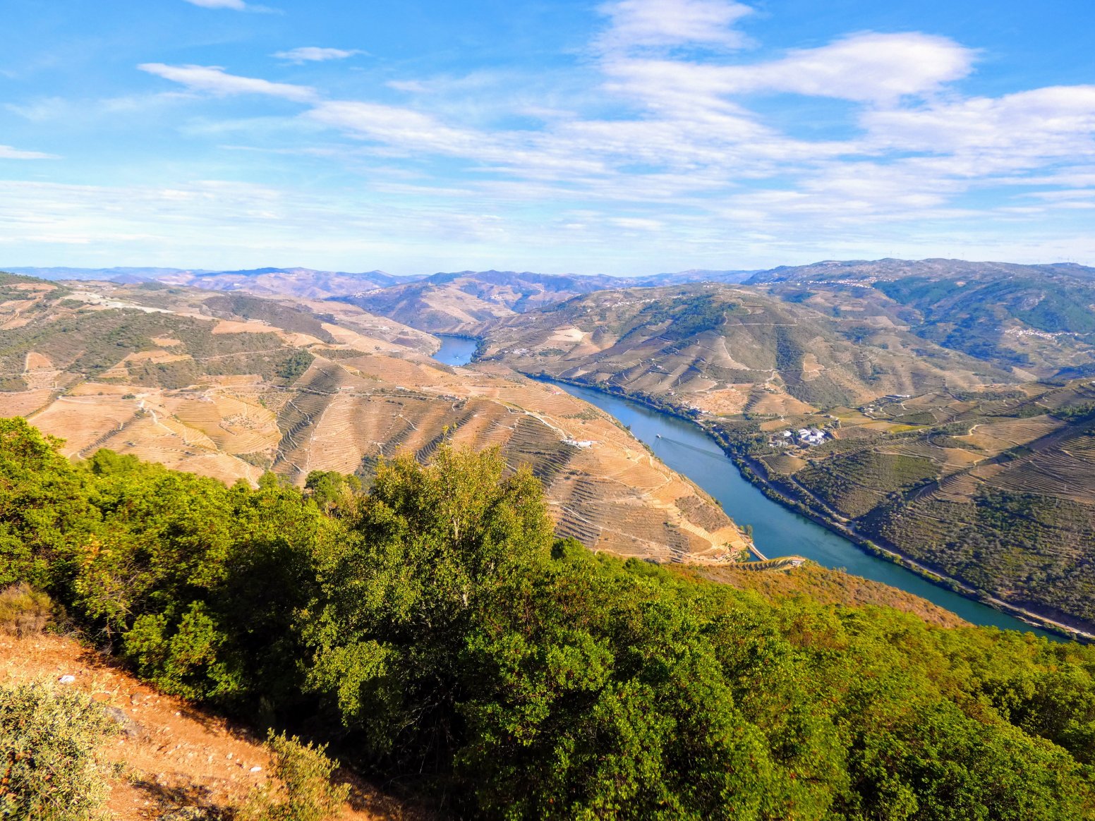 How Wine Drew The Borders in Peso da Régua | Portugal Private Tour