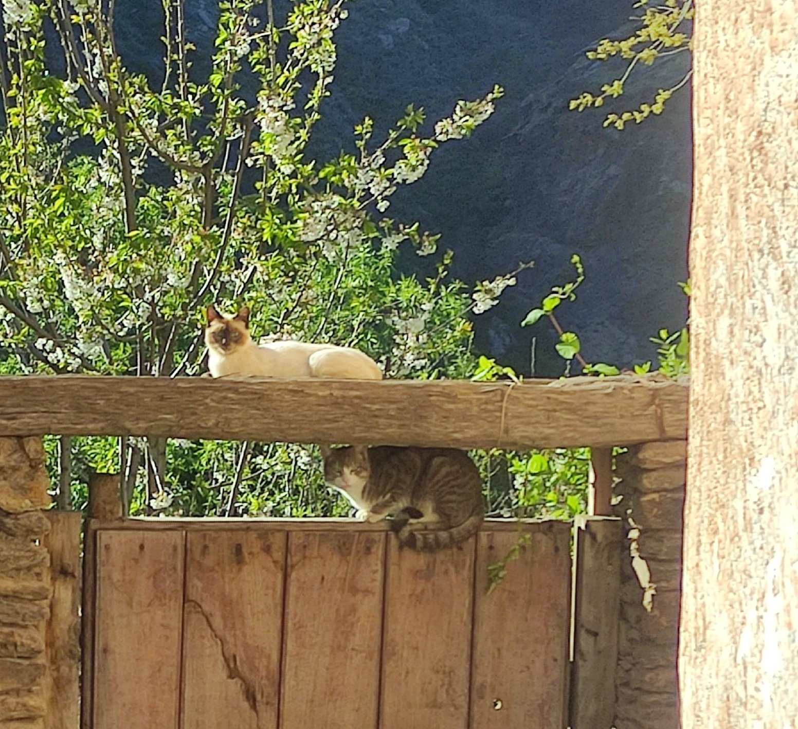 Capileira, Village of Charm in Granada