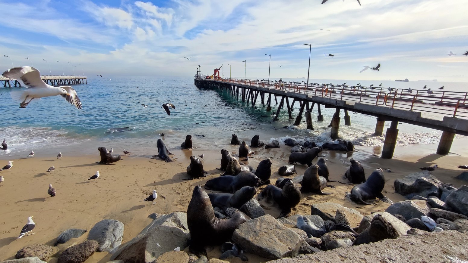 Art, Sea, and Wine  in Santiago | Chile Private Tour