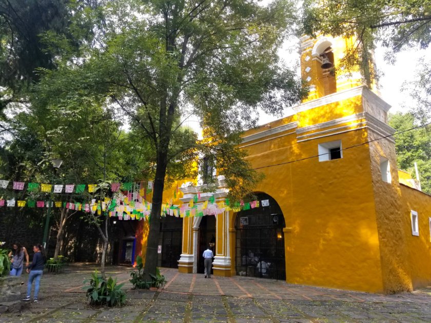 An Artist’s Coyoacán in Mexico City | Mexico Private Tour