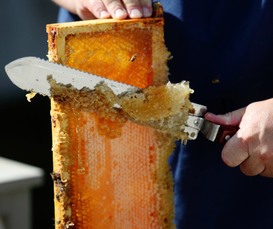 Hive to Jar in Argolida in Nafplion | Greece Private Tour