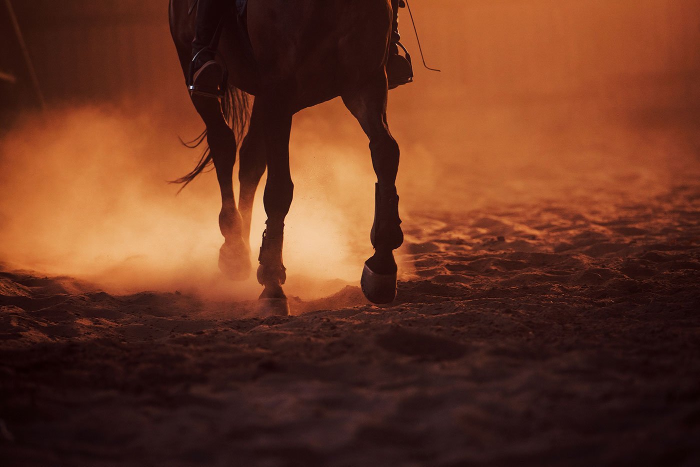 Full Moon on Horseback in Gerena | Spain Private Tour