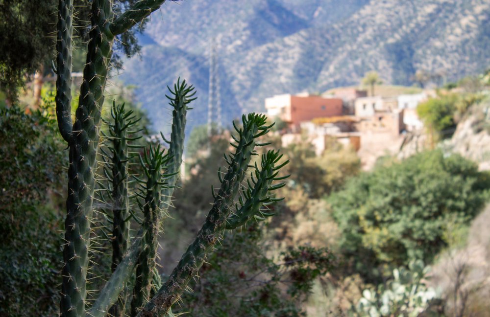 The Salt Route of Marigha in Ouirgane | Morocco Private Tour
