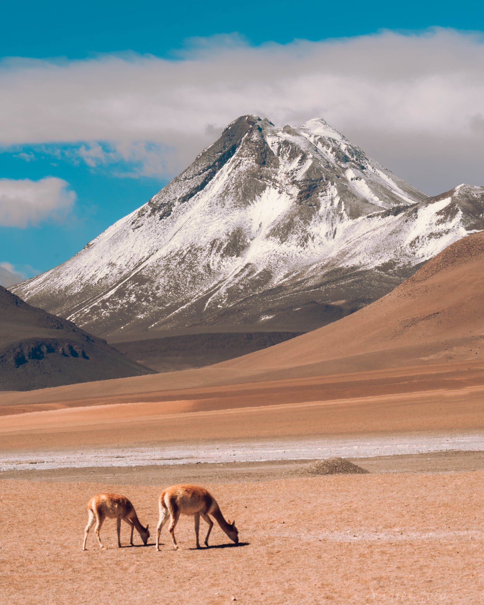Salt & Feathers in San Pedro de Atacama | Chile Private Tour