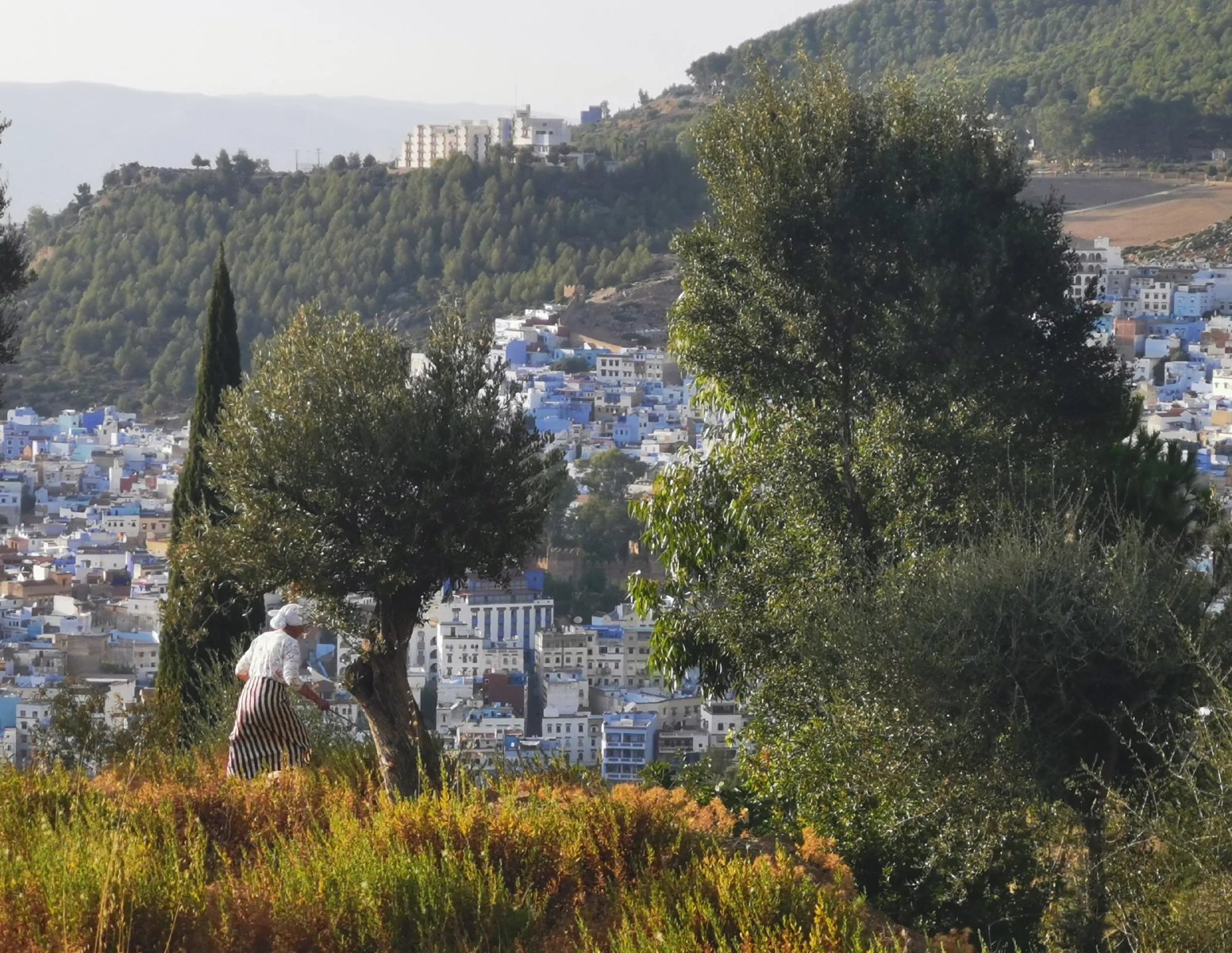 Life Above the Blue City in Chefchaouen | Morocco Private Tour