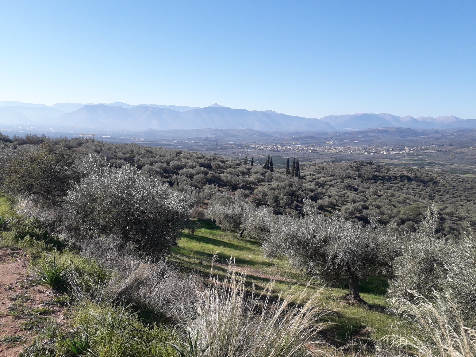 The Myth of the Atreides in Mykines | Greece Private Tour