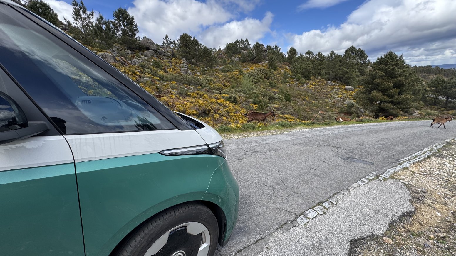 Kombi Pick-Up in Douro in Vila Real